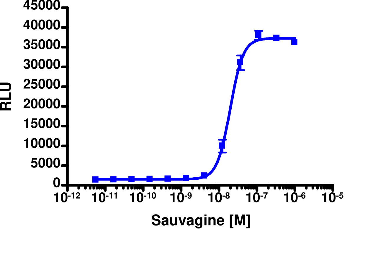 PathHunter® Human CRHR1 Stable Cell Line Activated GPCR Internalization Assay (U2OS)