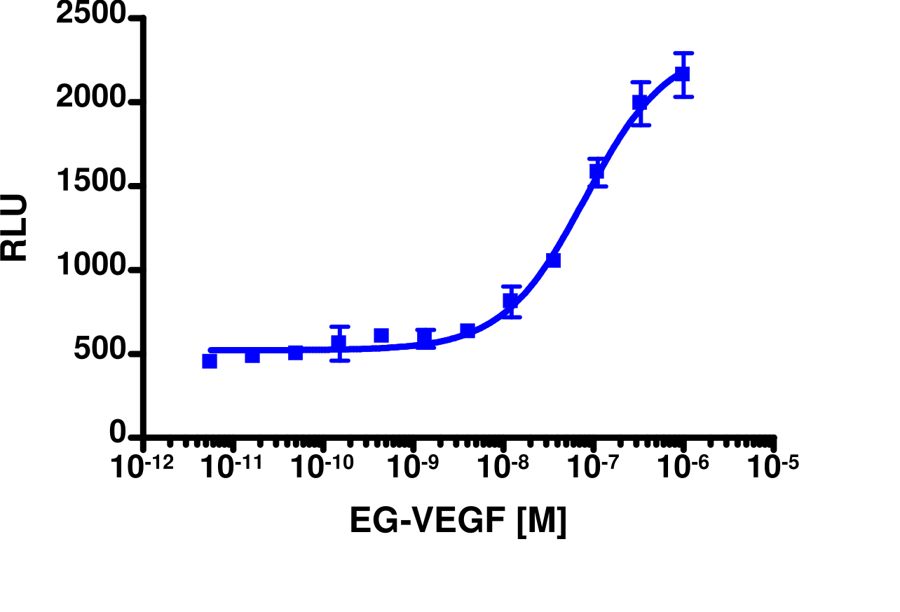PathHunter® Human PROKR2 Stable Cell Line Total GPCR Internalization Assay (U2OS)