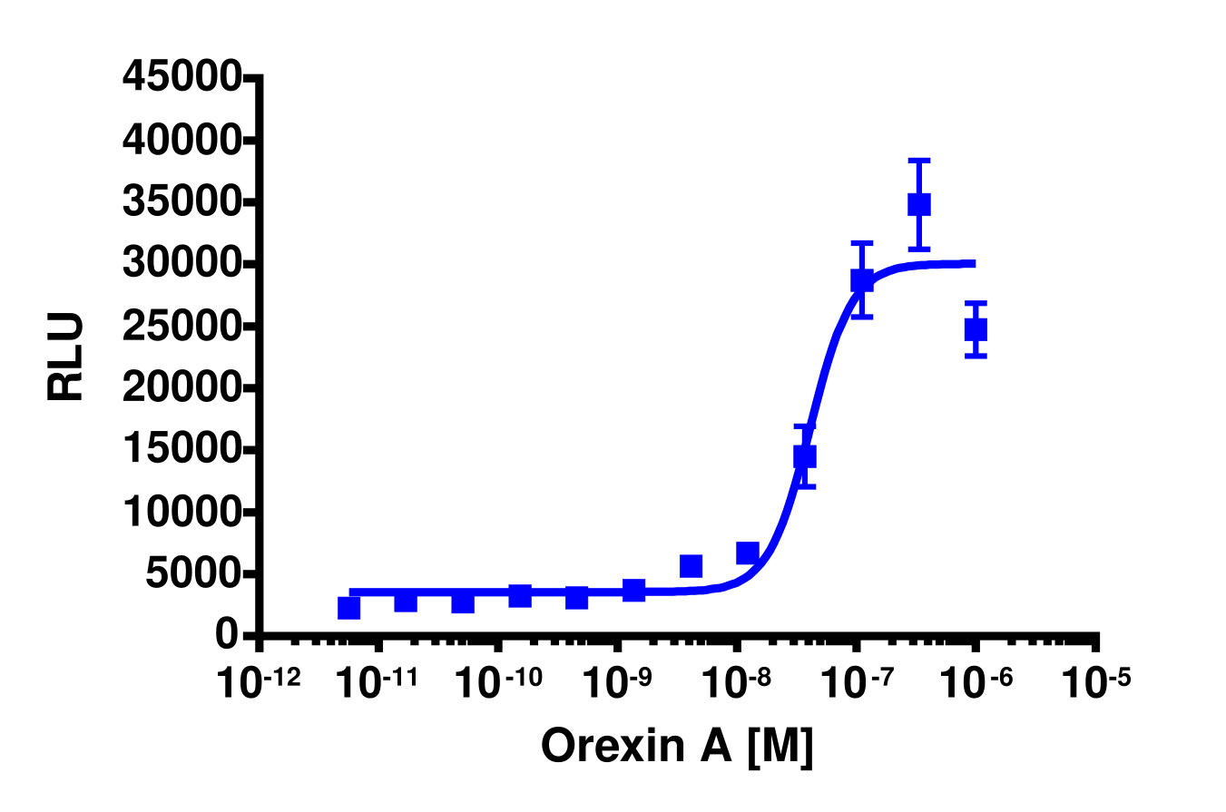 PathHunter® Human HCRTR2 Stable Cell Line Total GPCR Internalization Assay (U2OS)