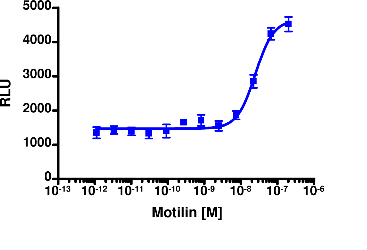 PathHunter® Human MLNR Activated GPCR Internalization Cell-Based Assay Kit (U2OS)