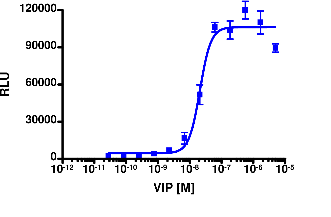 PathHunter® Human VIPR1 Activated GPCR Internalization Cell-Based Assay Kit (U2OS)