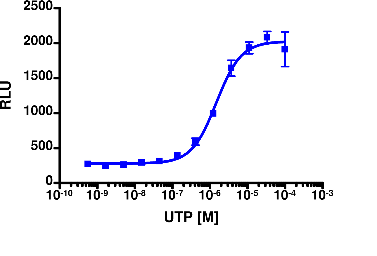 PathHunter® Human P2RY4 Activated GPCR Internalization Cell-Based Assay Kit (U2OS)