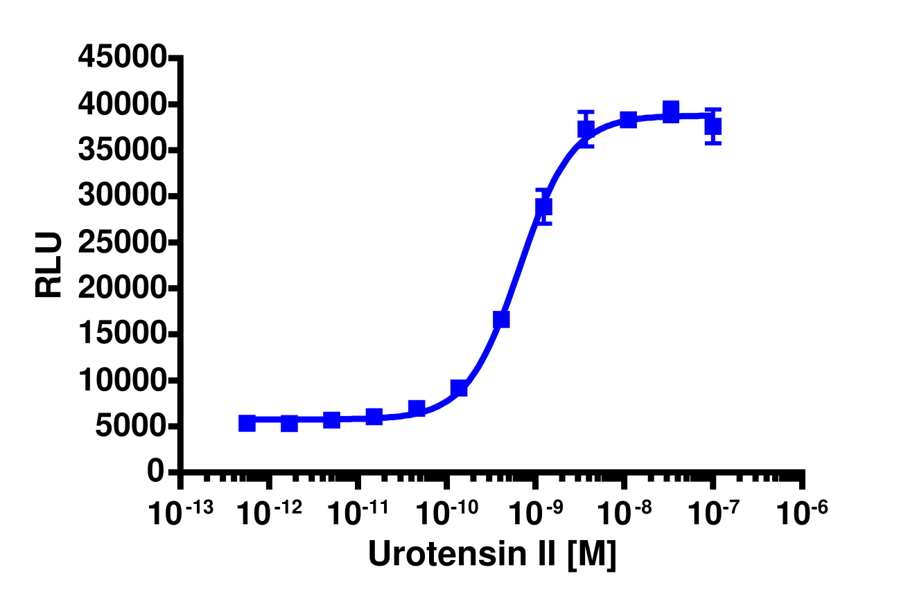 PathHunter® Human UTR2 Stable Cell Line Total GPCR Internalization Assay (U2OS)