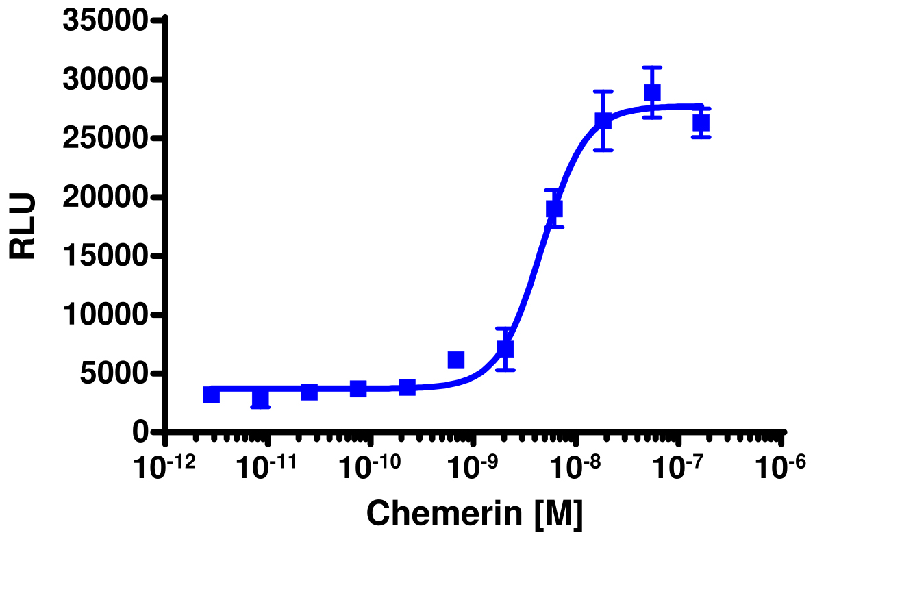 PathHunter® Human GPR1 Stable Cell Line Total GPCR Internalization Assay (U2OS)
