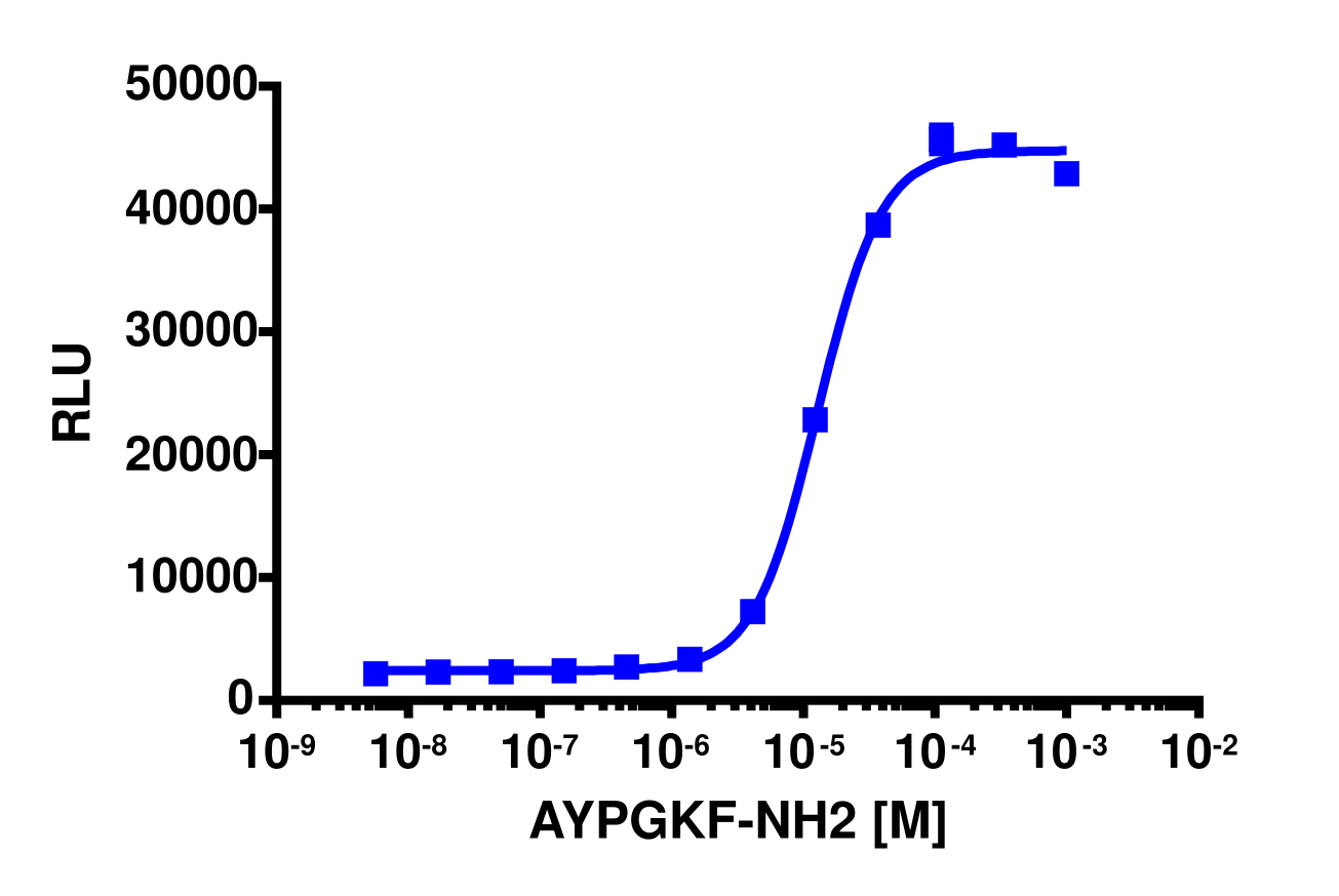PathHunter® Human F2RL3 Stable Cell Line Activated GPCR Internalization Assay (U2OS)