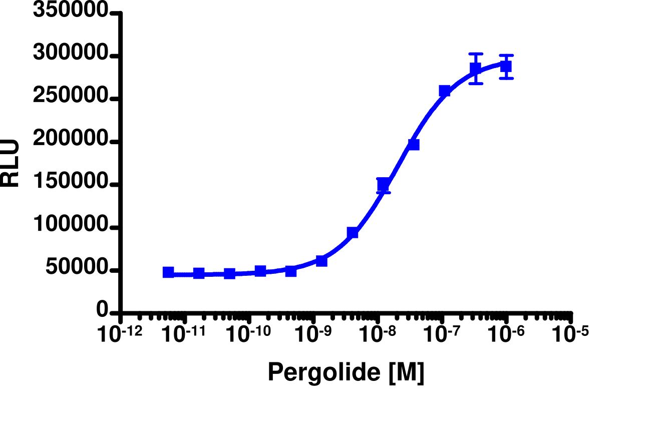PathHunter® Rat DRD2S β-Arrestin Stable Cell Line Assay (CHO-K1)