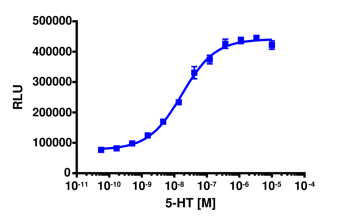 PathHunter® Mouse HTR2C (5-HT2C) β-Arrestin Stable Cell Line Assay (U2OS)