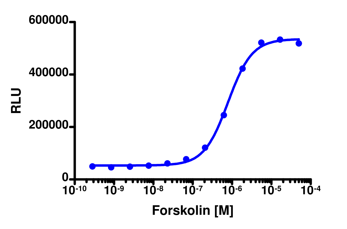 PathHunter® Human TORC1 (CRTC1) Stable Cell Line Nuclear Translocation Assay (U2OS)