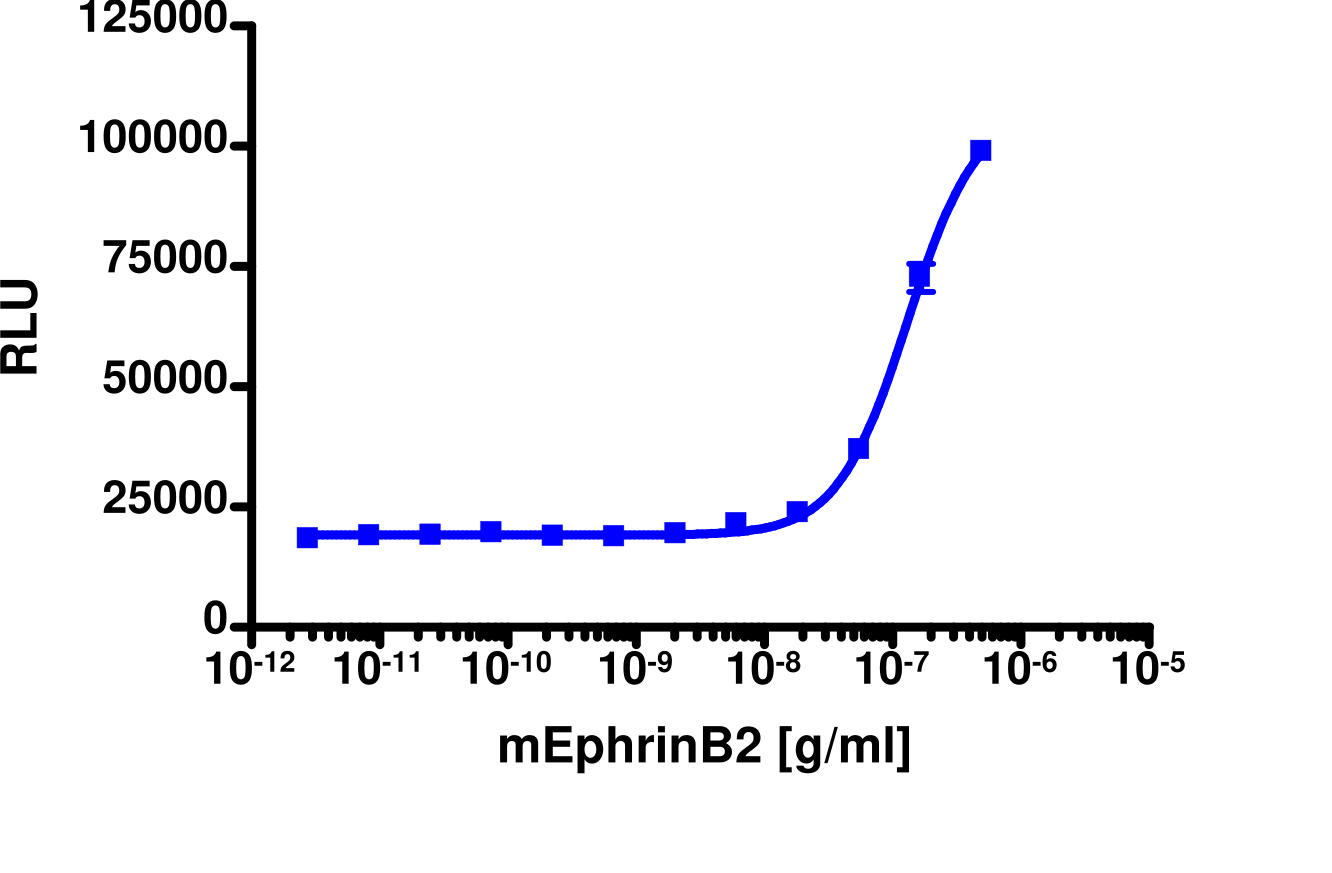 PathHunter® Human EphB3 Stable Cell Line Functional Kinase Assay (U2OS)