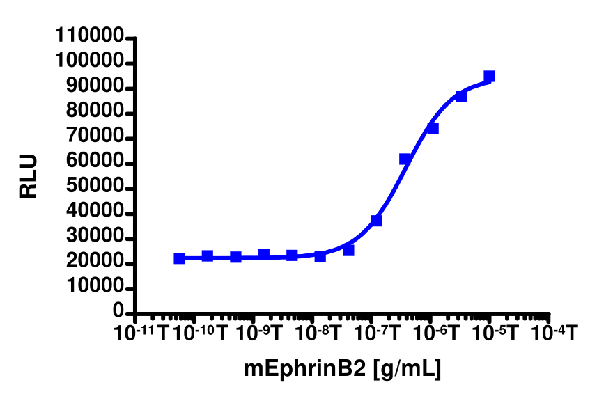 PathHunter® Human EphB2 Functional Kinase Cell-Based Assay Kit (U2OS)