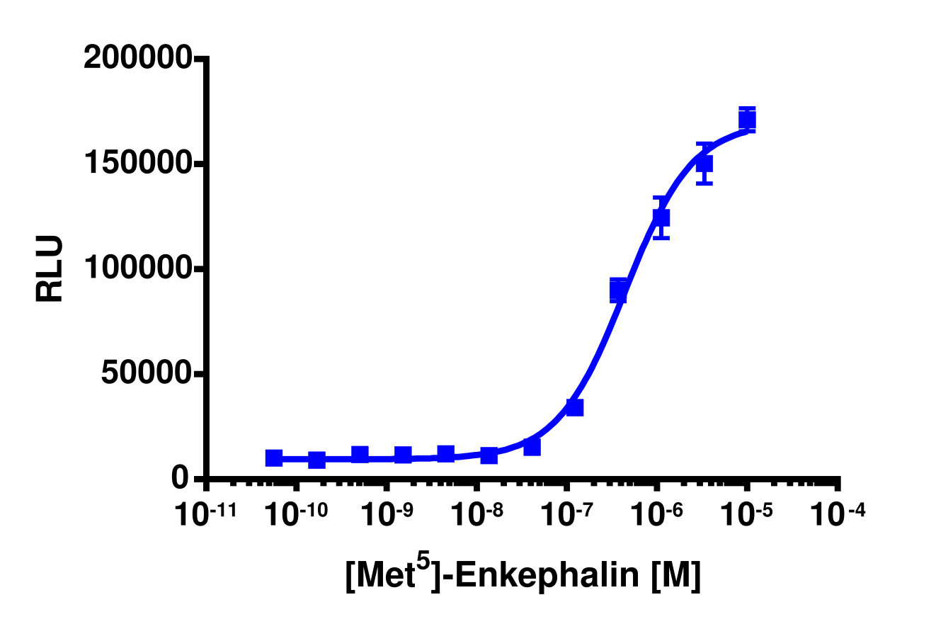 PathHunter® Human OPRM1 (Opioid mu) β-Arrestin-1 Stable Cell Line Assay (U2OS)