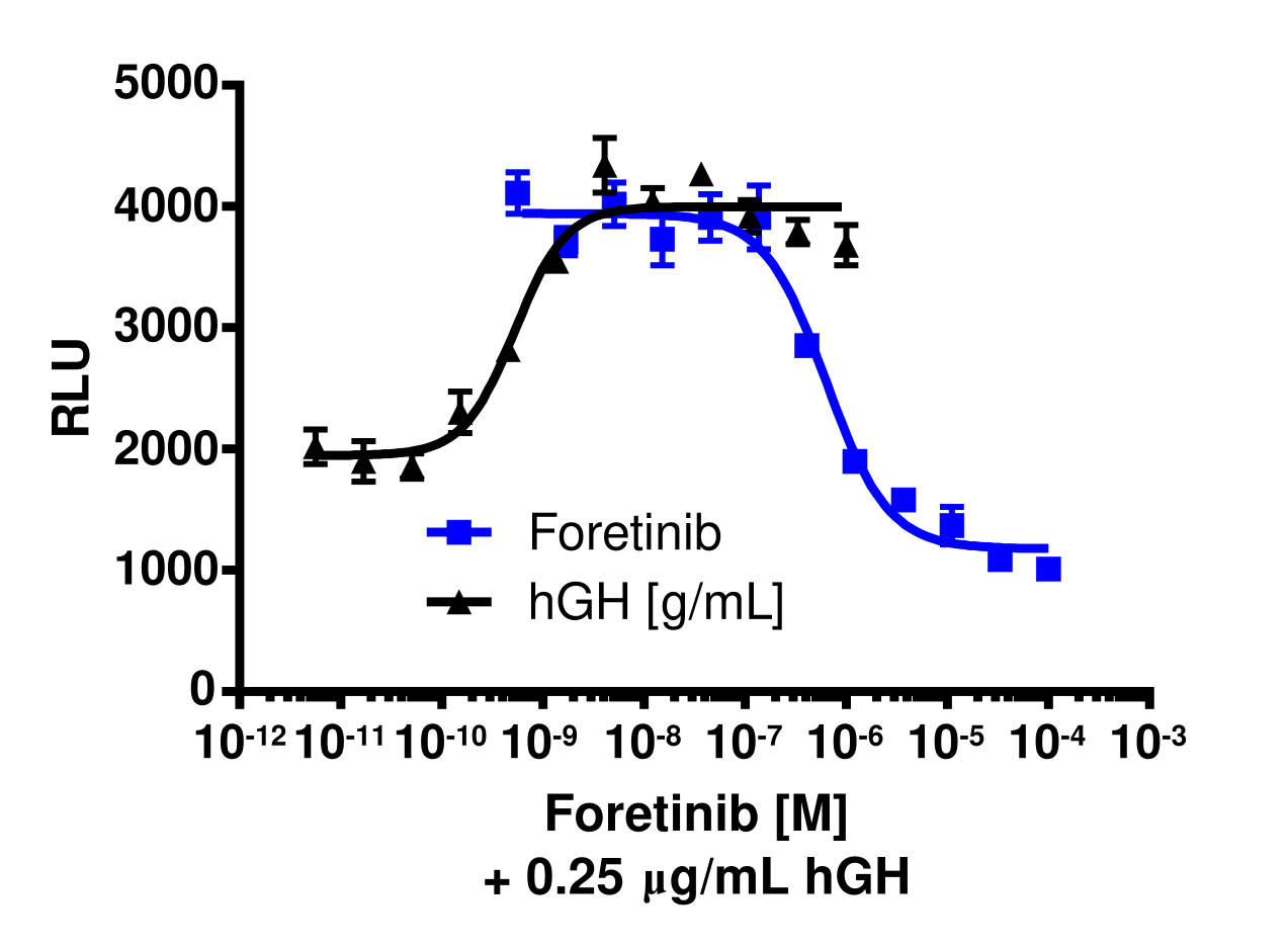 PathHunter® Human YES1 Kinase Activity Cell-Based Assay Kit (U2OS)