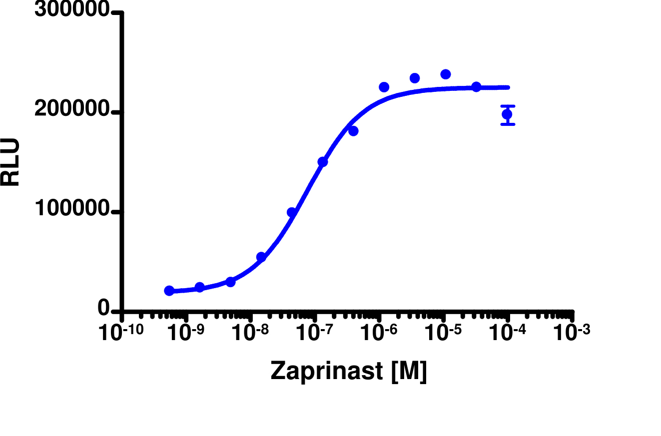 PathHunter® Rat GPR35 β-Arrestin Cell-Based Assay Kit (CHO-K1)