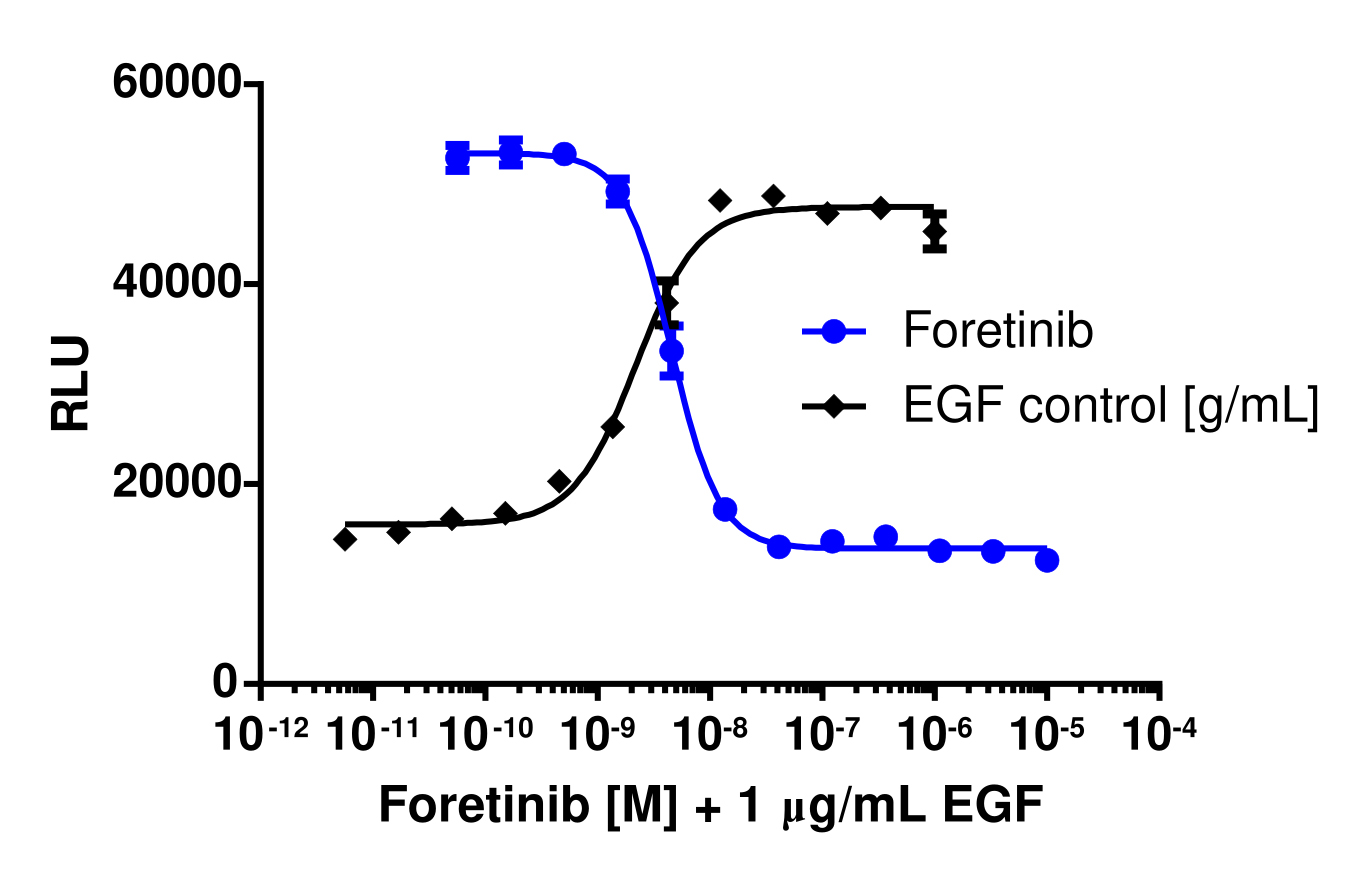 PathHunter® Human FLT4 Stable Cell Line Kinase Activity Assay (U2OS)