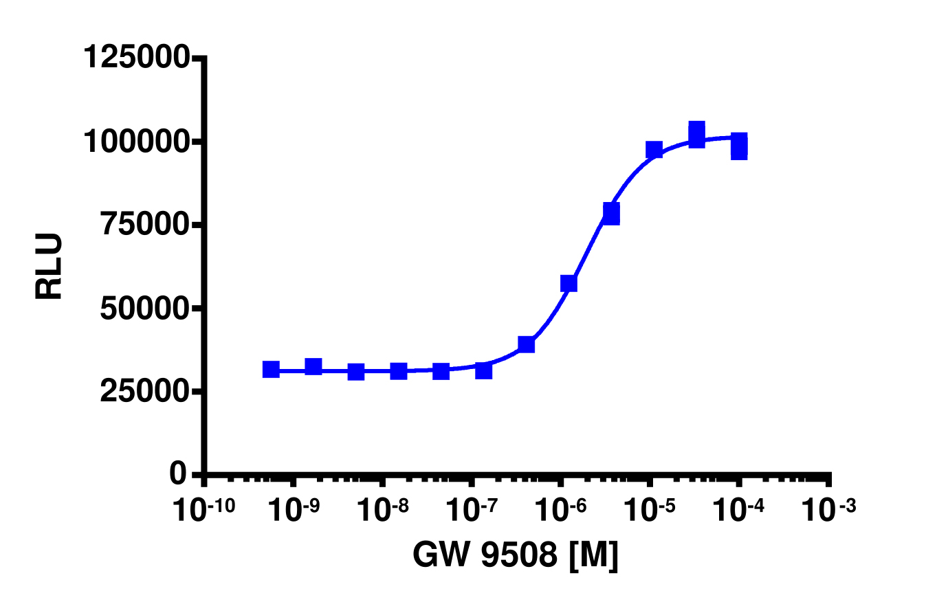 PathHunter® Human GPR120S β-Arrestin Stable Cell Line Assay (CHO-K1)