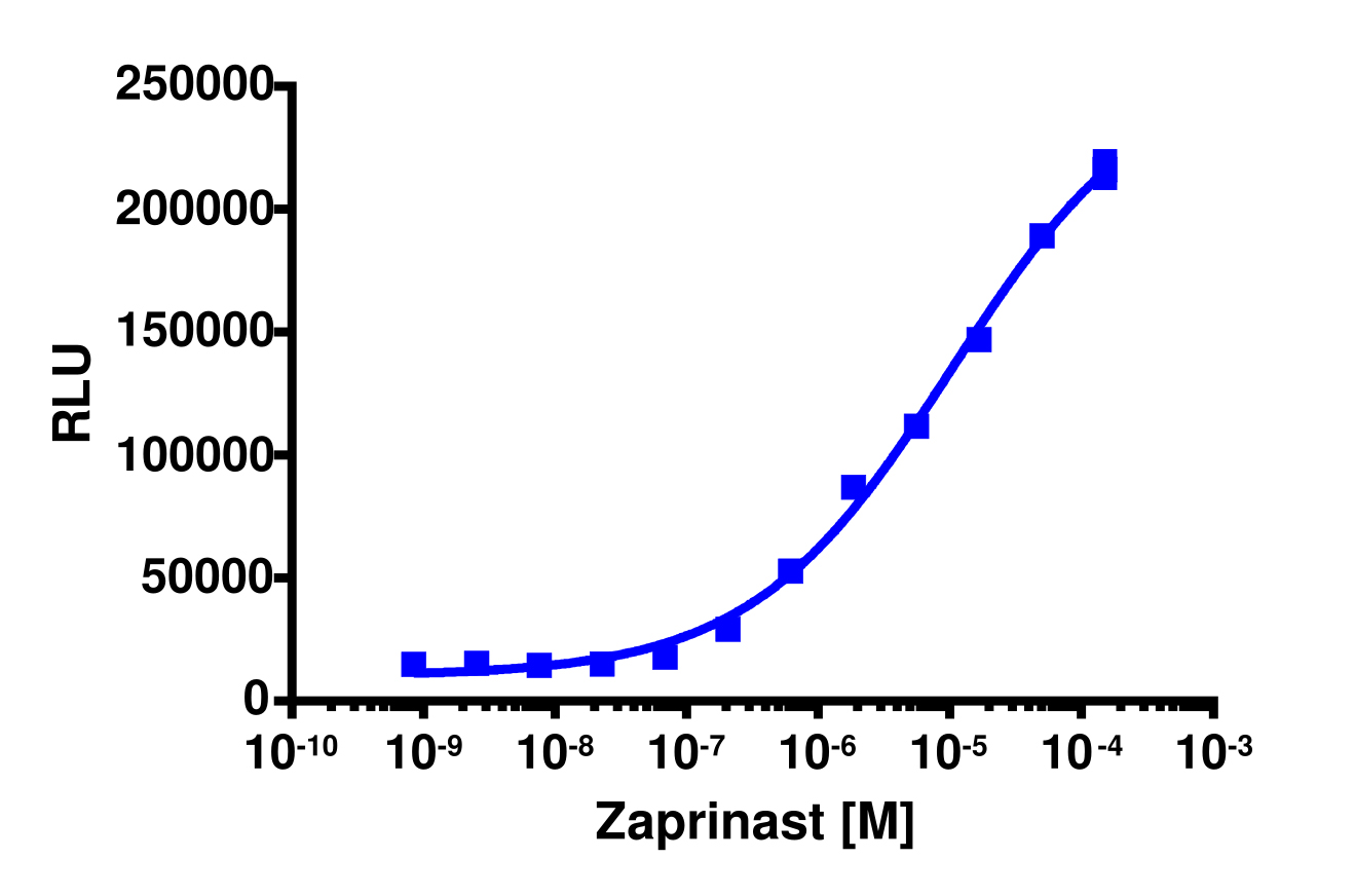 PathHunter® Human GPR35 β-Arrestin Stable Cell Line Assay (CHO-K1)