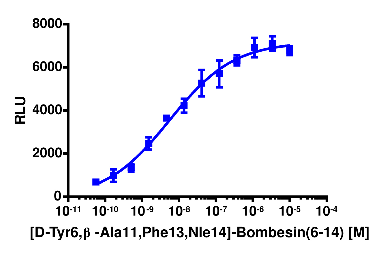 PathHunter® Human BRS3 β-Arrestin Stable Cell Line Assay (CHO-K1)