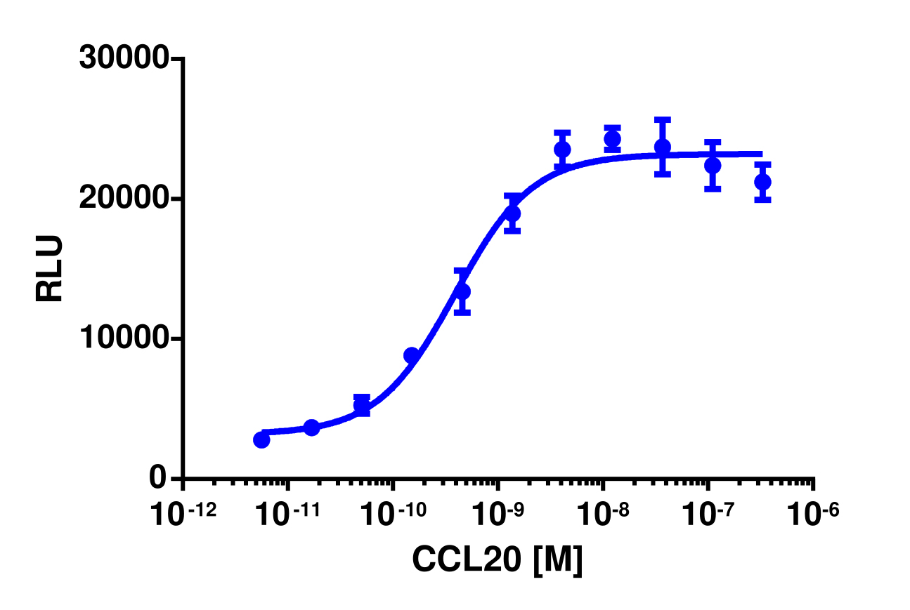 PathHunter® Human MIP-3α (CCR6) Stable Cell Line Activated GPCR Internalization Assay (U2OS)