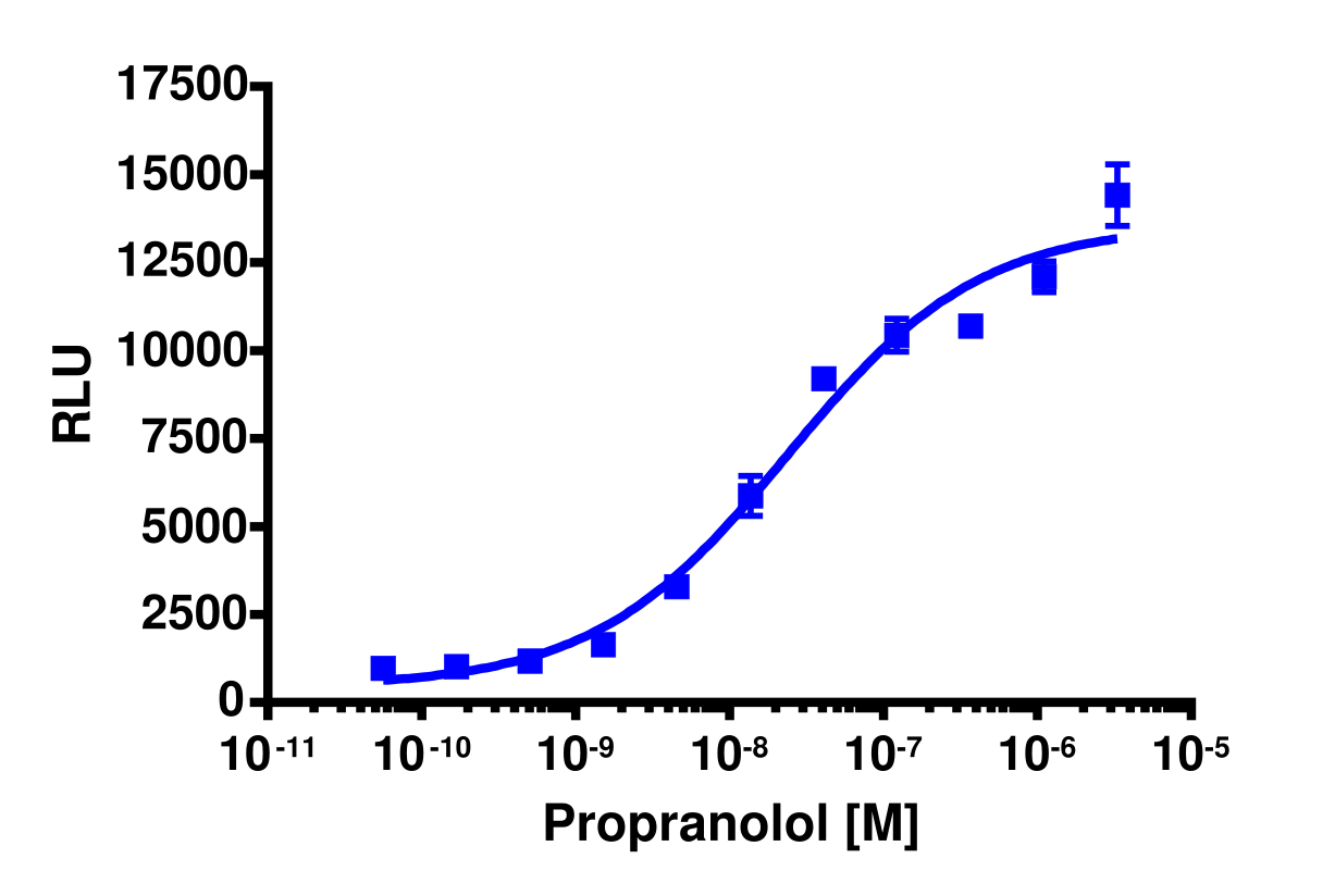 PathHunter® Human ADRB2 (W158A) ENDO-EA Pharmacotrafficking Cell-Based Assay Kit (U2OS)