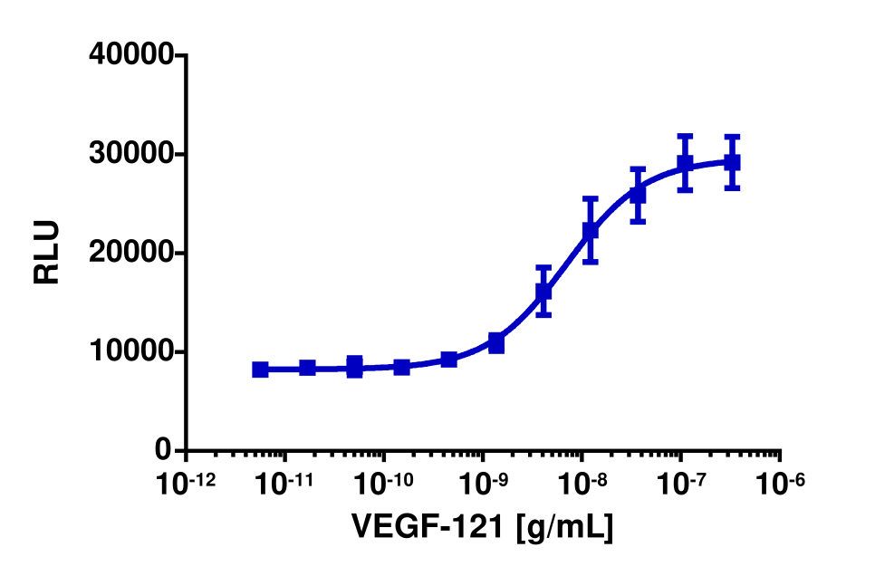 PathHunter® Human VEGF (KDR/KDR) Dimerization Cell-Based Assay Kit (HEK 293)