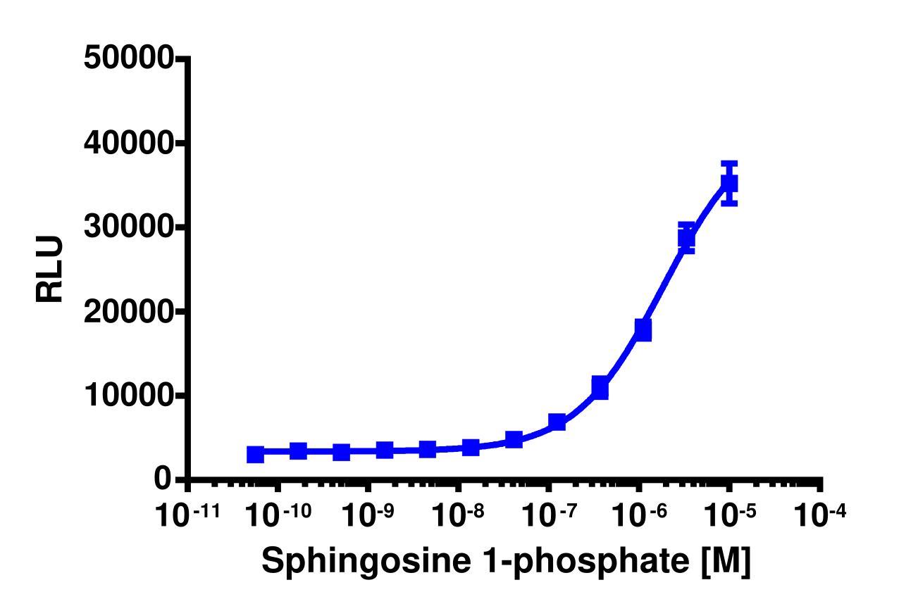 PathHunter® Mouse S1P3 (EDG3) β-Arrestin Cell-Based Assay Kit (CHO-K1)