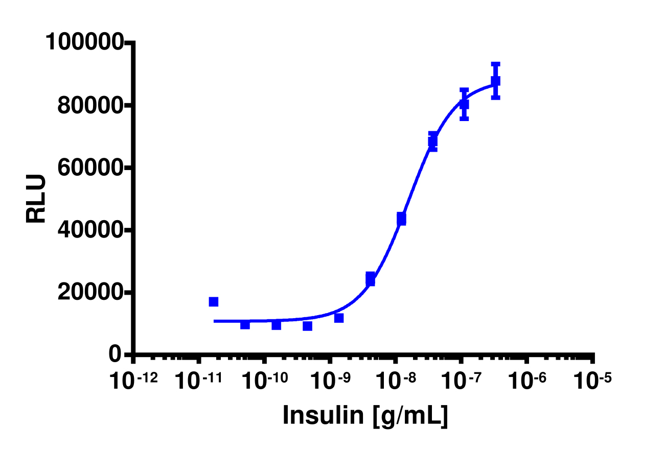 PathHunter® Cyno Insulin Receptor A (INSRa) Stable Cell Line Functional Kinase Assay (U2OS)