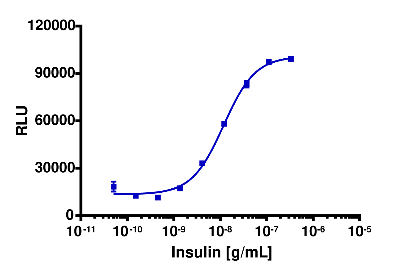 PathHunter® Cyno Insulin Receptor B (INSRb) Stable Cell Line Functional Kinase Assay (U2OS)