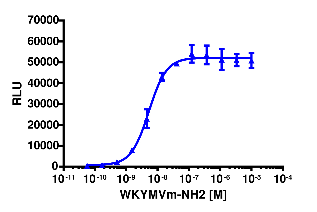PathHunter® Mouse FPR2 β-Arrestin Stable Cell Line Assay (CHO-K1)