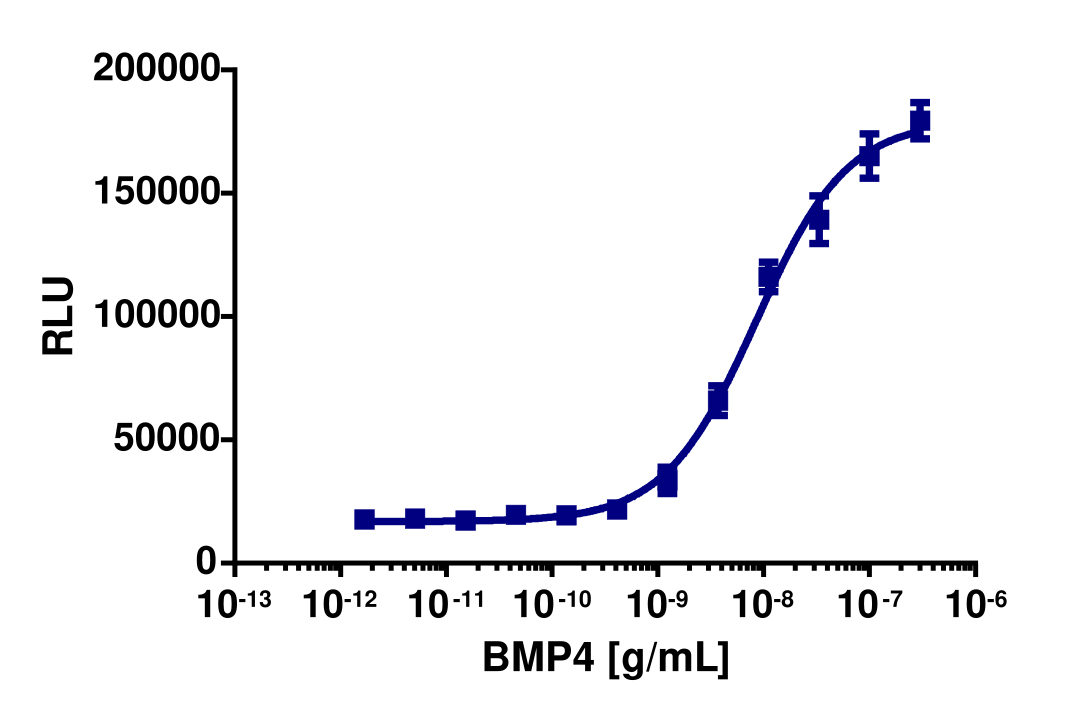PathHunter® Human BMP-4 (BMPR1A/ACVR2B) Stable Cell Line Dimerization Assay (U2OS)