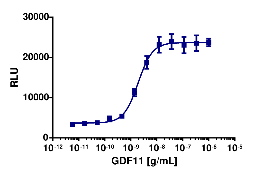 PathHunter® Human GDF-11 (TGFBR1/ACVR2B) Stable Cell Line Dimerization Assay (U2OS)