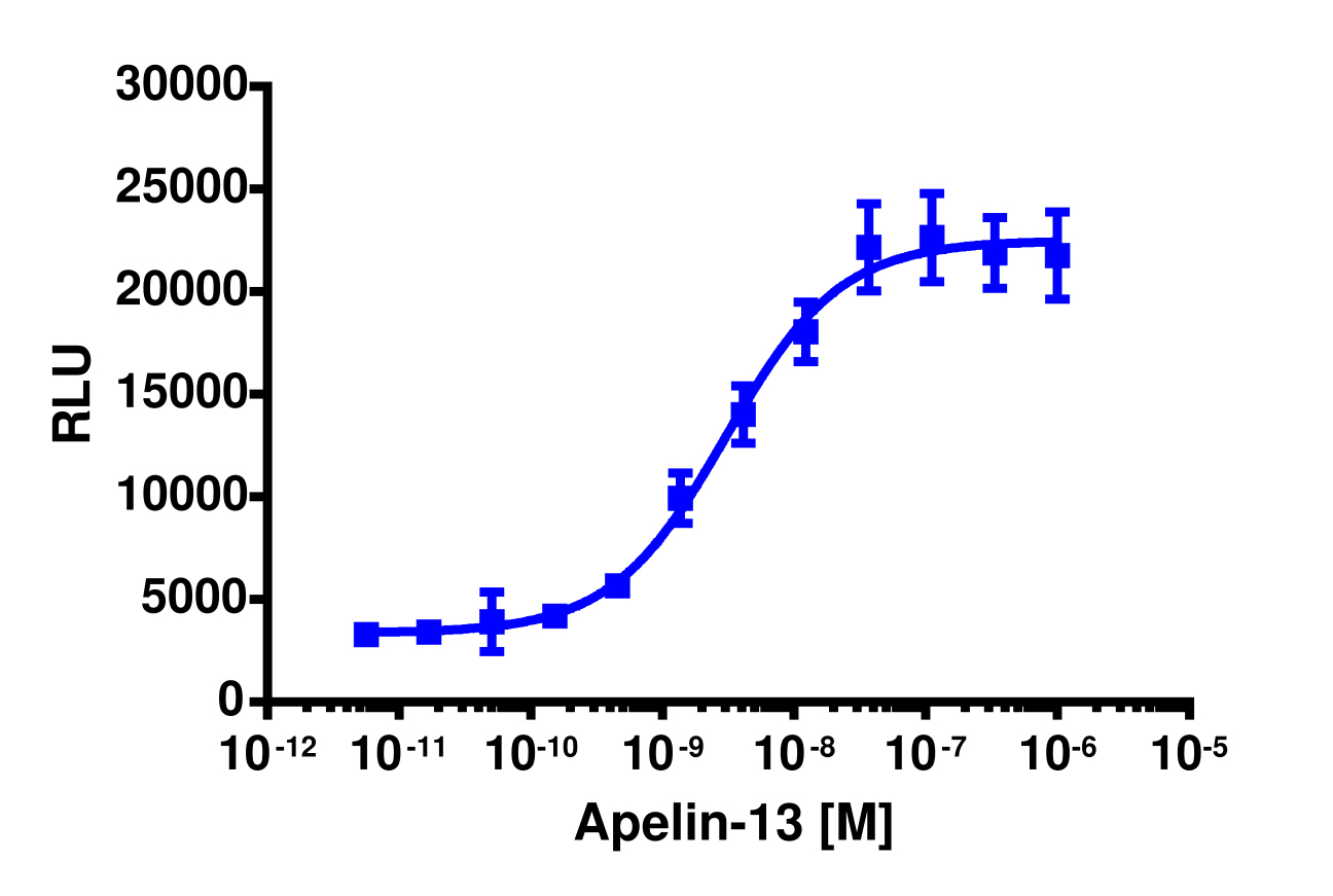 PathHunter® Human Apelin (APJ Receptor) β-Arrestin-1 Stable Cell Line Assay (CHO-K1)