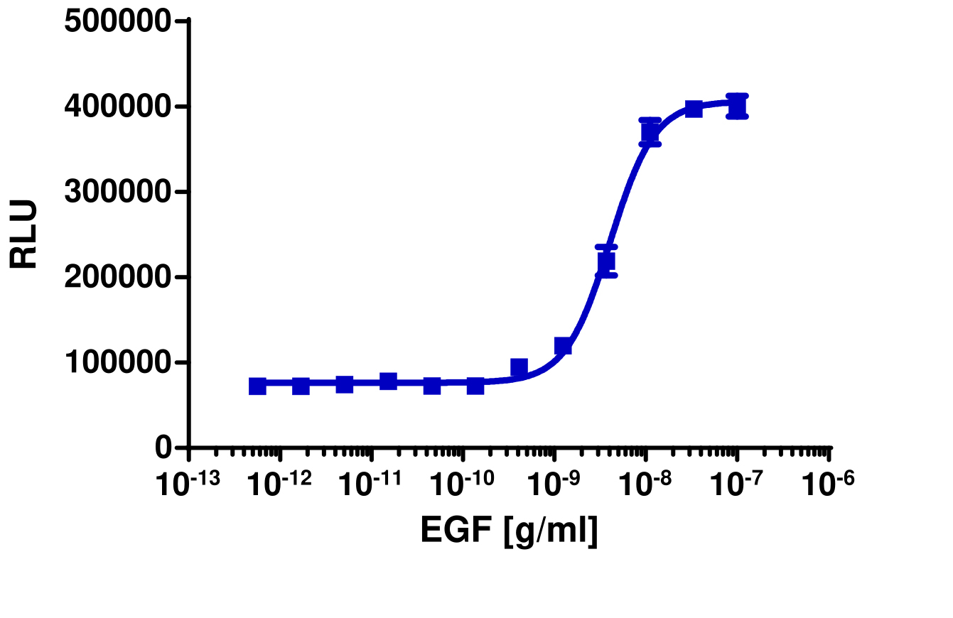 PathHunter® Human EGFR/ErbB2 Dimerization Stable Cell Line Assay (U2OS)