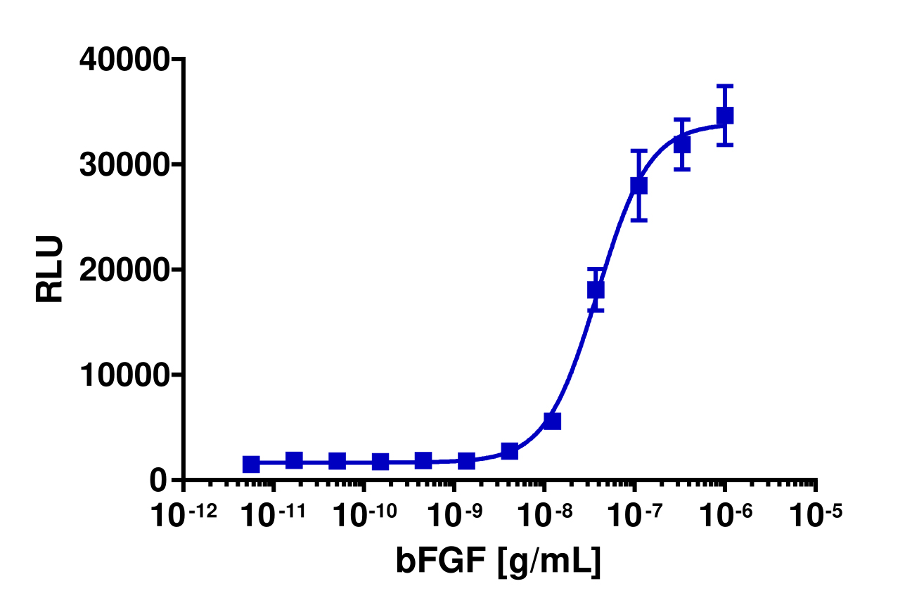 PathHunter® Human FGFR1 Stable Cell Line Functional Kinase Assay (U2OS)