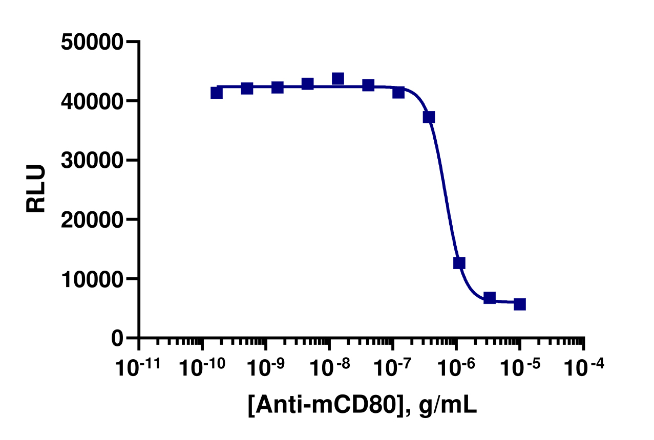PathHunter® Mouse CTLA4 (SHP1) Signaling Stable Cell Line Assay (Jurkat)
