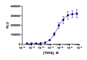 PathHunter® Human NF-kB Pathway Reporter Stable Cell Line Assay (HEK 293)