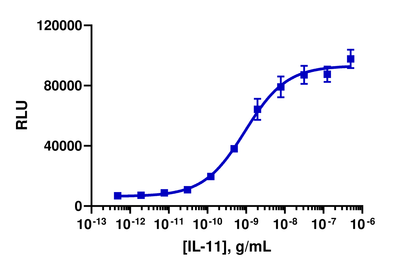 PathHunter® Human IL-11 (IL11RA) Signaling STAT3 Reporter Stable Cell Line Assay (HepG2)
