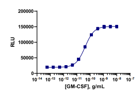 PathHunter® Human GM-CSF Signaling STAT5 Reporter Stable Cell Line Assay (U937)