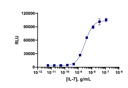 PathHunter® Human IL-7 (IL7R/IL2RG) Signaling STAT5 Reporter Stable Cell Line Assay (REH)