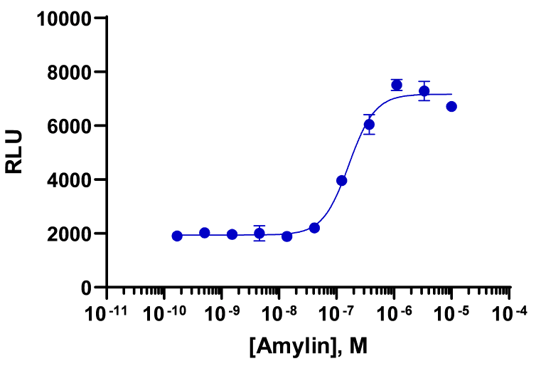 PathHunter® Human Amylin (AMY3 Receptor) β-Arrestin Stable Cell Line Assay (CHO-K1)