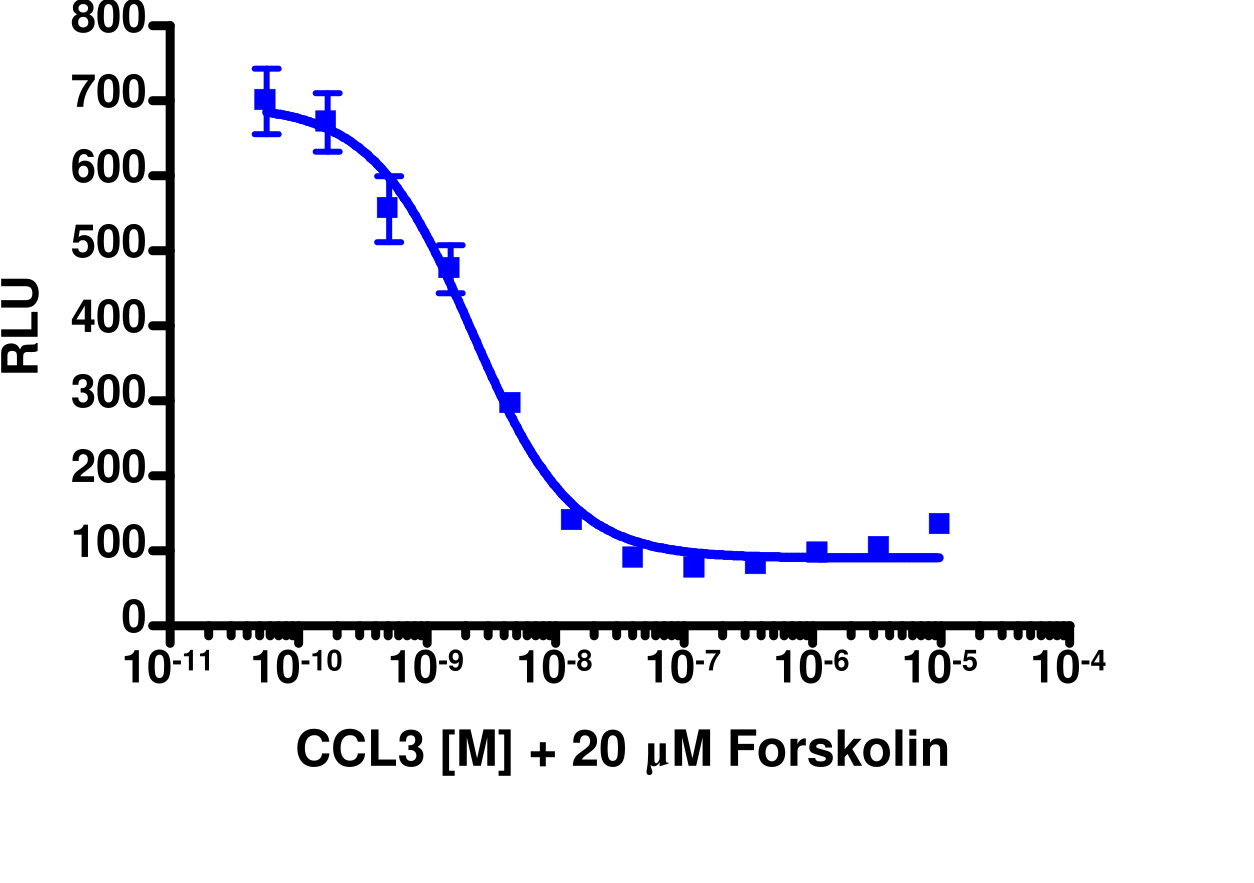 cAMP Hunter™ Human MIP-1 alpha (CCR1) Gi Stable Cell Line Assay (CHO-K1)
