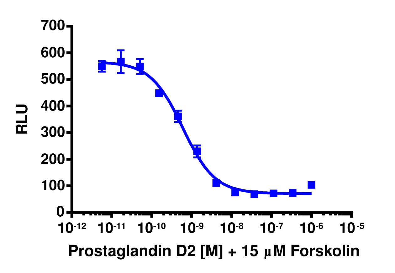 cAMP Hunter™ Human CRTH2 Gi Cell-Based Assay Kit (CHO-K1)