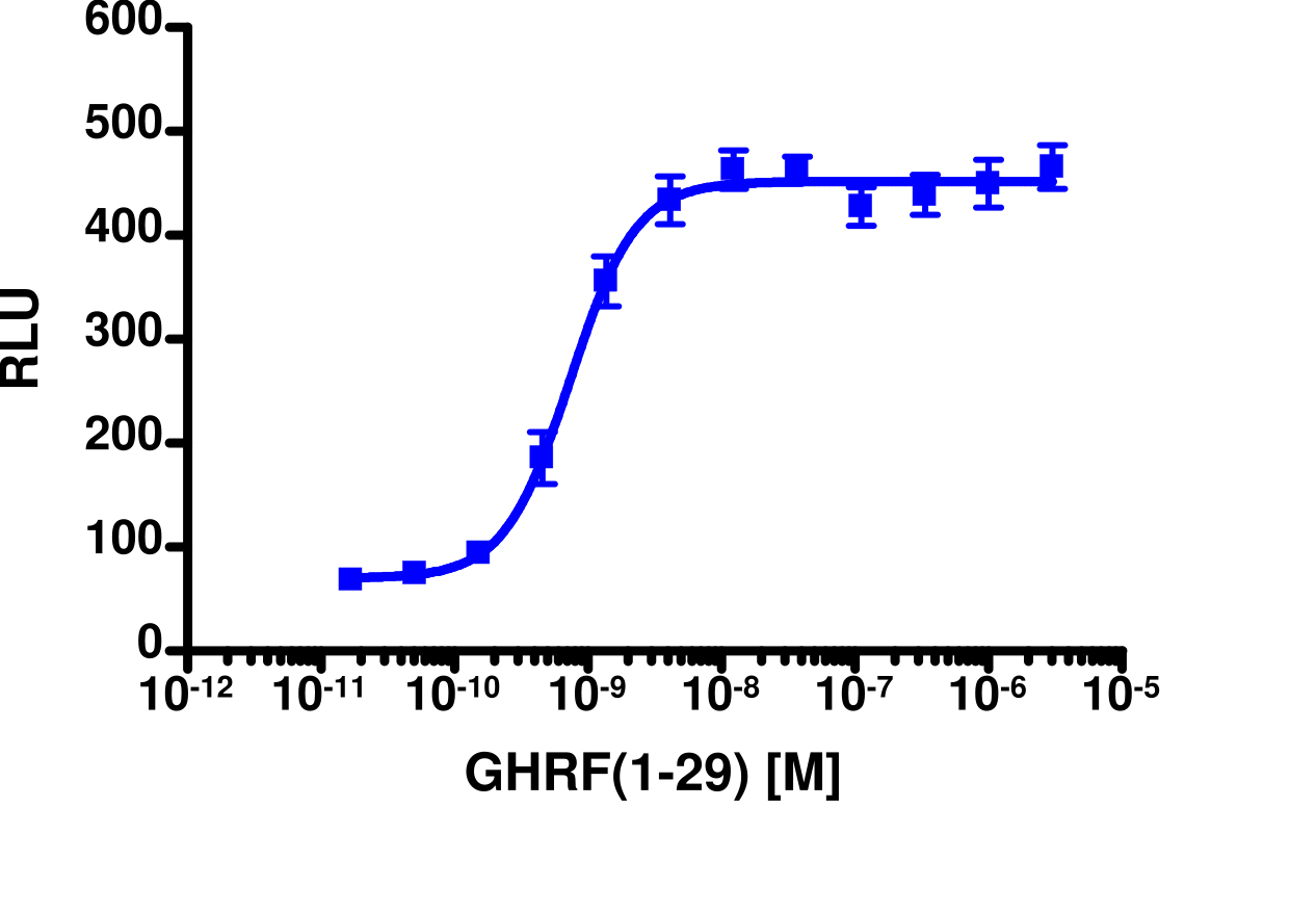 cAMP Hunter™ Human GHRHR Gs Cell-Based Assay Kit (CHO-K1)
