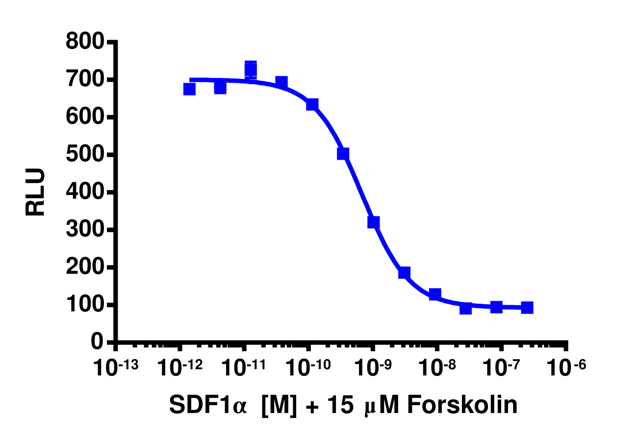 cAMP Hunter™ Human SDF-1 alpha (CXCR4) Gi Stable Cell Line Assay (CHO-K1)