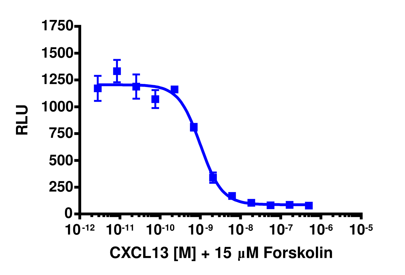 cAMP Hunter™ Human CXCL13 (CXCR5) Gi Stable Cell Line Assay (CHO-K1)
