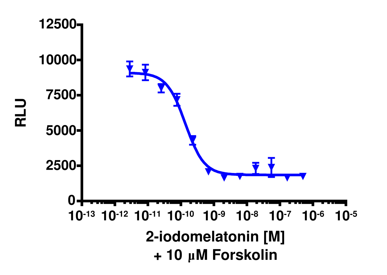 cAMP Hunter™ Human MTNR1A Gi Stable Cell Line Assay (CHO-K1)