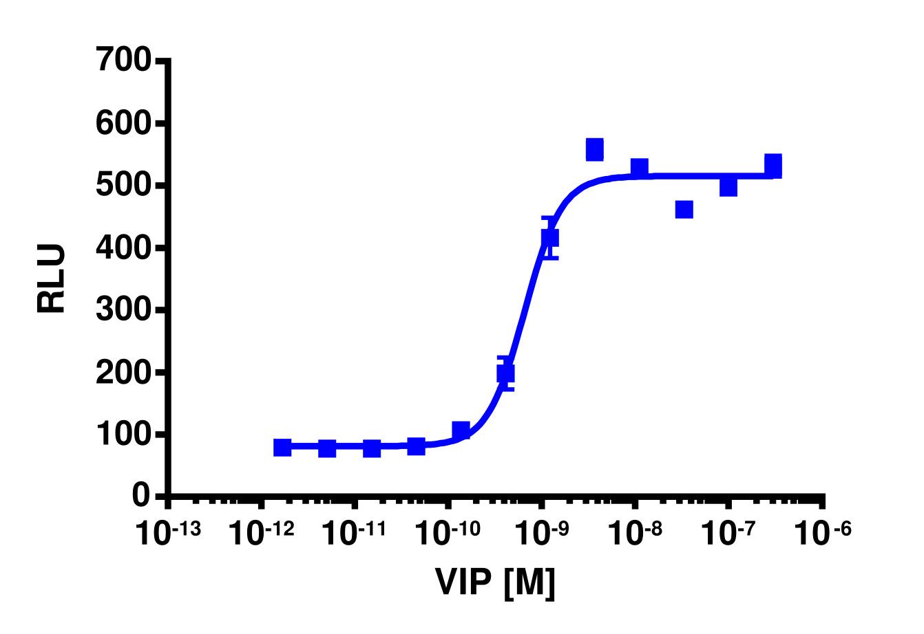 cAMP Hunter™ Human VIPR1 Gs/Gq Cell-Based Assay Kit (CHO-K1)