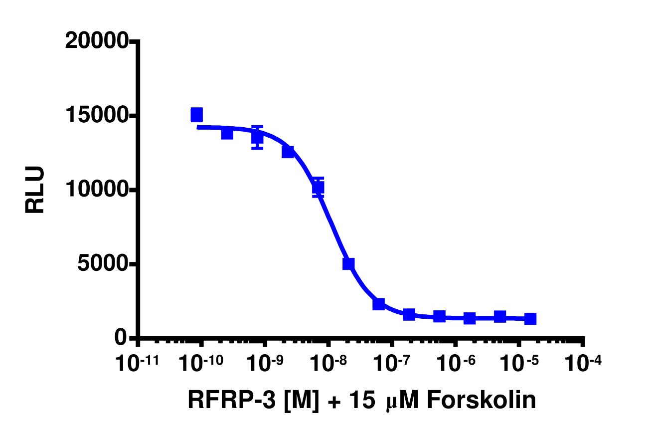 cAMP Hunter™ Human NPFFR1 Gi Cell-Based Assay Kit (CHO-K1)
