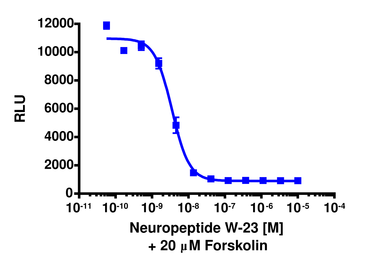 cAMP Hunter™ Human NPBWR2 Gi Stable Cell Line Assay (CHO-K1)