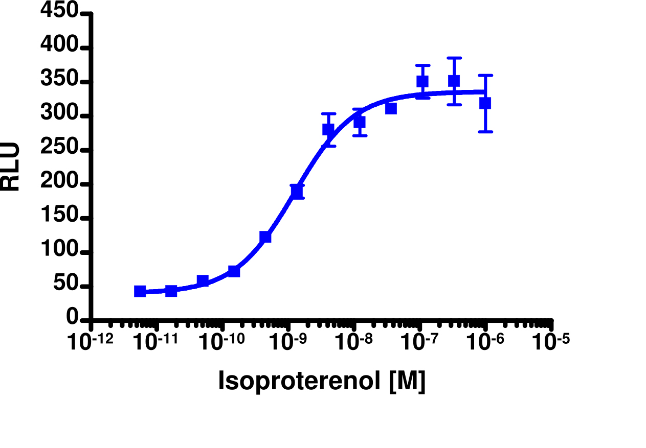 cAMP Hunter™ Human ADRB1 Gs Stable Cell Line Assay (CHO-K1)