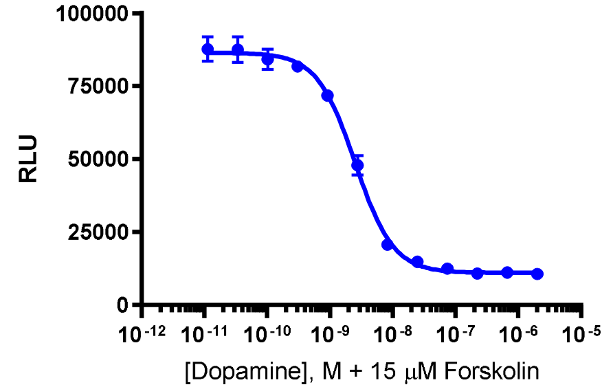cAMP Hunter™ Human DRD2L Gi Stable Cell Line Assay (CHO-K1)
